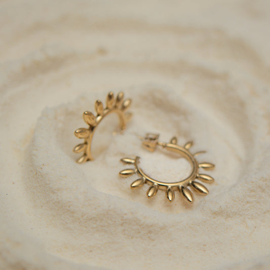 Golden hoop earrings
