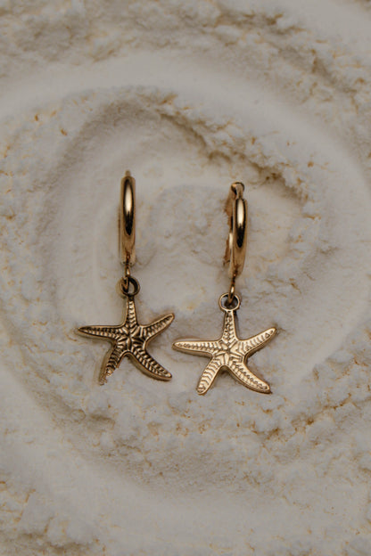 Starfish earrings