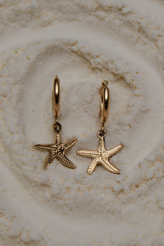 Starfish earrings